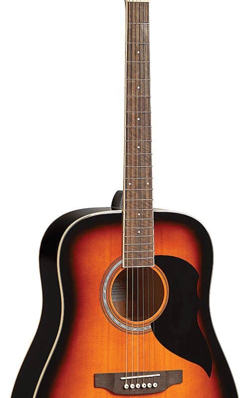 GUITARRA EKO RANGER VI BWN